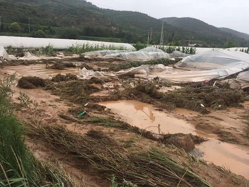 2023年合水县有没有雨露计?合水县的天气情况-图3 2023年合水县有没有雨露计?合水县的天气情况-图3