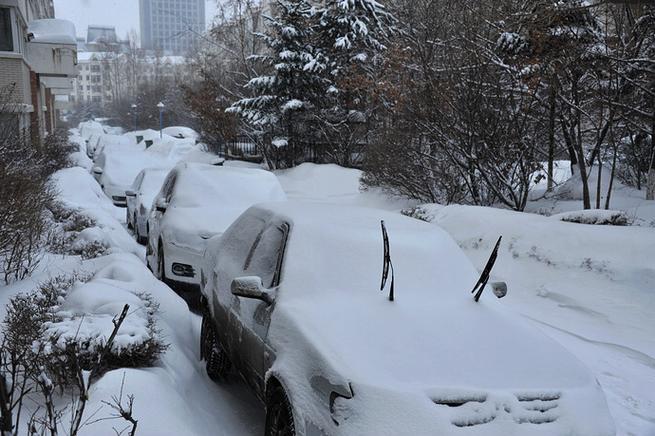 长春11月6号下雪了吗？长春昨天气情况