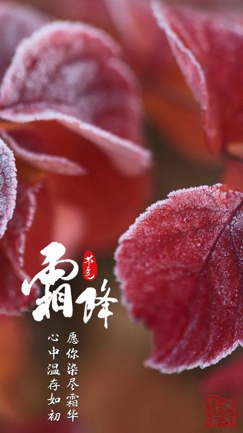 霜降温度高来年气候怎样？过了霜降天气情况