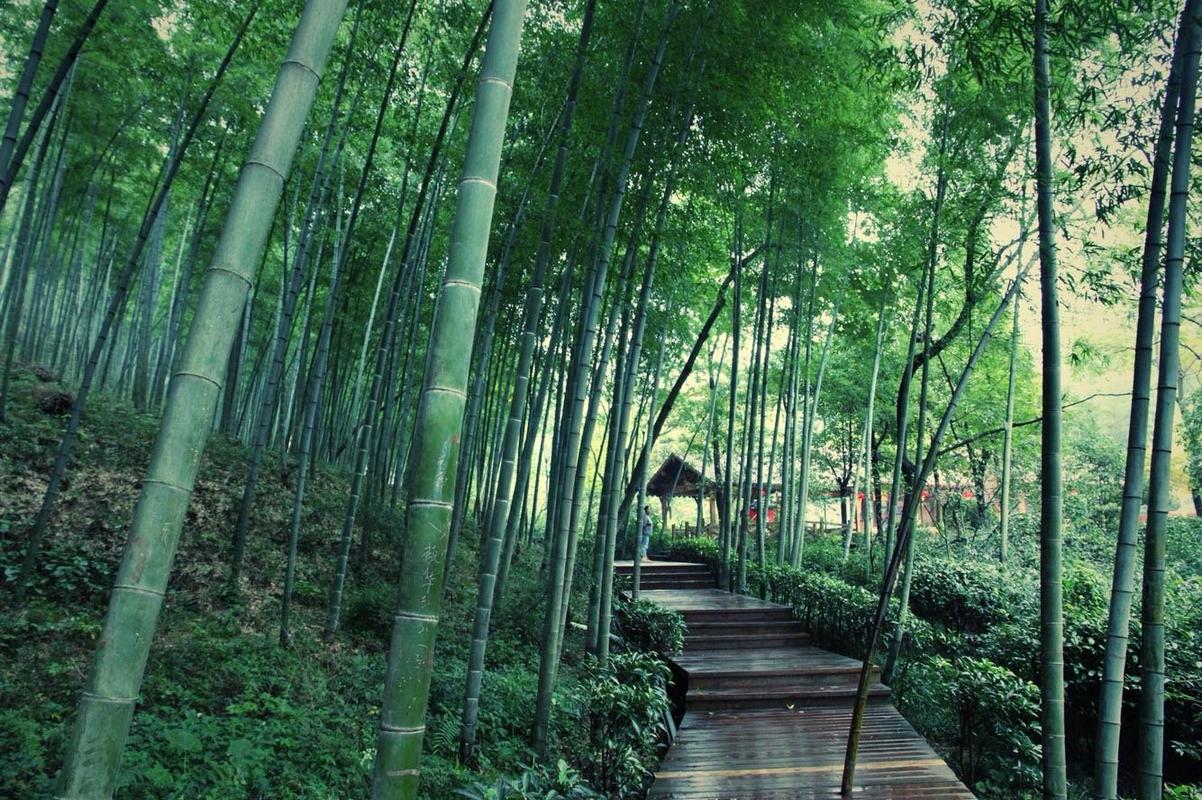 宜兴竹海什么时候去？十一宜兴天气情况