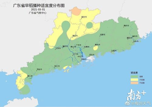 广东梅州有暴雨吗?梅州 周天气情况-图2 广东梅州有暴雨吗?梅州 周天气情况-图2