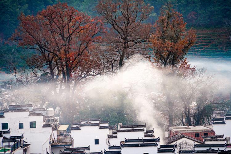 婺源天气小雨适合旅游吗?婺源周围天气情况-图2 婺源天气小雨适合旅游吗?婺源周围天气情况-图2