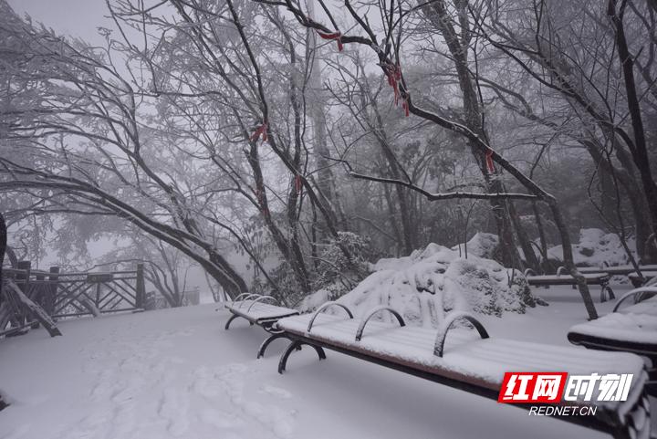 湖南多地降雪是真的吗？湖南景区天气情况-图3