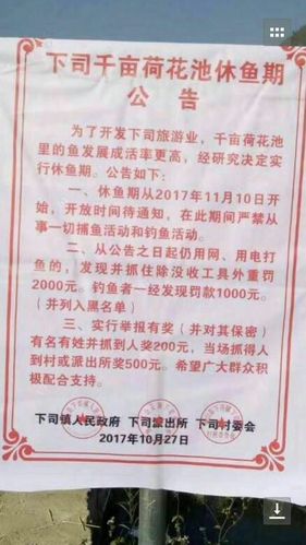 下司荷花池钓鱼最佳地点?下司天气情况-图2 下司荷花池钓鱼最佳地点?下司天气情况-图2