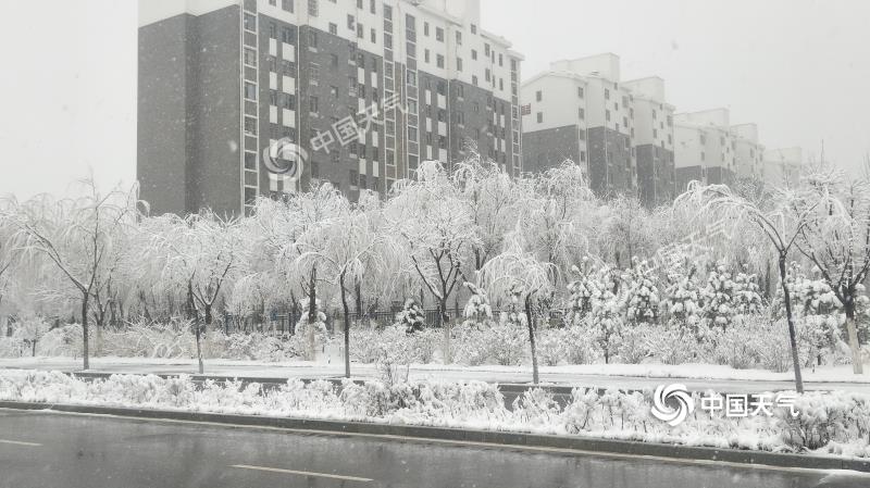 宁夏固原下雪奇怪吗?固原几日天气情况-图2 宁夏固原下雪奇怪吗?固原几日天气情况-图2