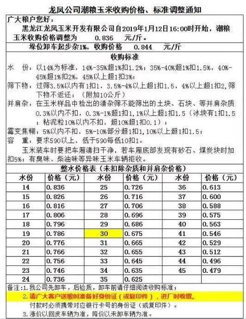 黑龙江省肇东市玉米潮粮价格？下周肇东天气情况