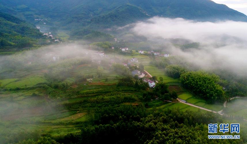 旌德是属于那个省份,是那一个市,位于那里?年前宁国天气情况-图3 旌德是属于那个省份,是那一个市,位于那里?年前宁国天气情况-图3