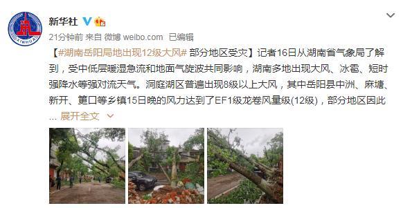 岳阳12级大风怎么形成的?岳阳近期天气情况-图3 岳阳12级大风怎么形成的?岳阳近期天气情况-图3