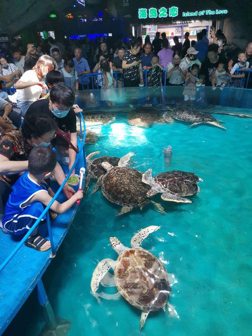 齐河极地海洋世界里面冷吗?今天齐河天气情况-图3 齐河极地海洋世界里面冷吗?今天齐河天气情况-图3
