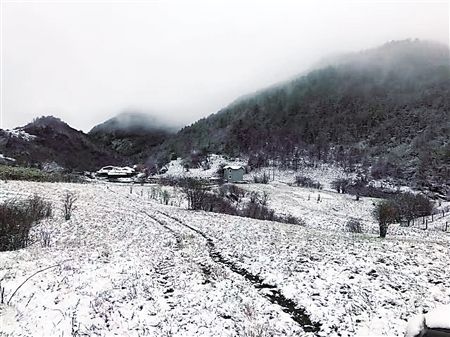 重庆巫溪冬天有多冷?巫溪明天气情况-图2 重庆巫溪冬天有多冷?巫溪明天气情况-图2