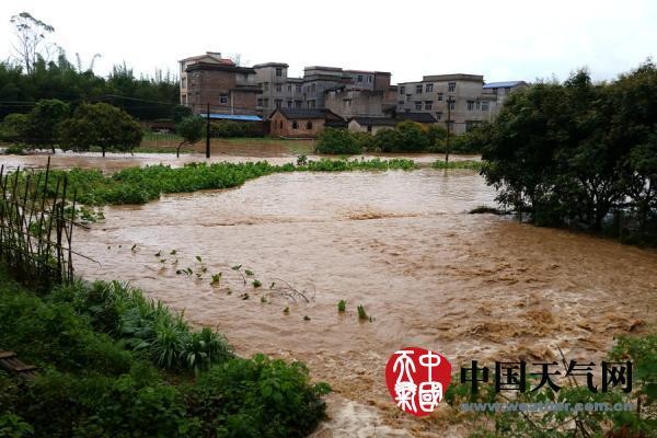 广西梧州市藤县有几个镇?广西藤县天气情况-图2 广西梧州市藤县有几个镇?广西藤县天气情况-图2