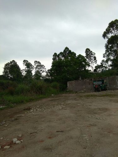 广西梧州市藤县有几个镇?广西藤县天气情况-图3 广西梧州市藤县有几个镇?广西藤县天气情况-图3