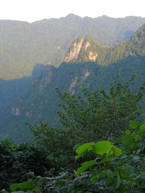 张家界属于湘西自治州吗？明天桑植天气情况