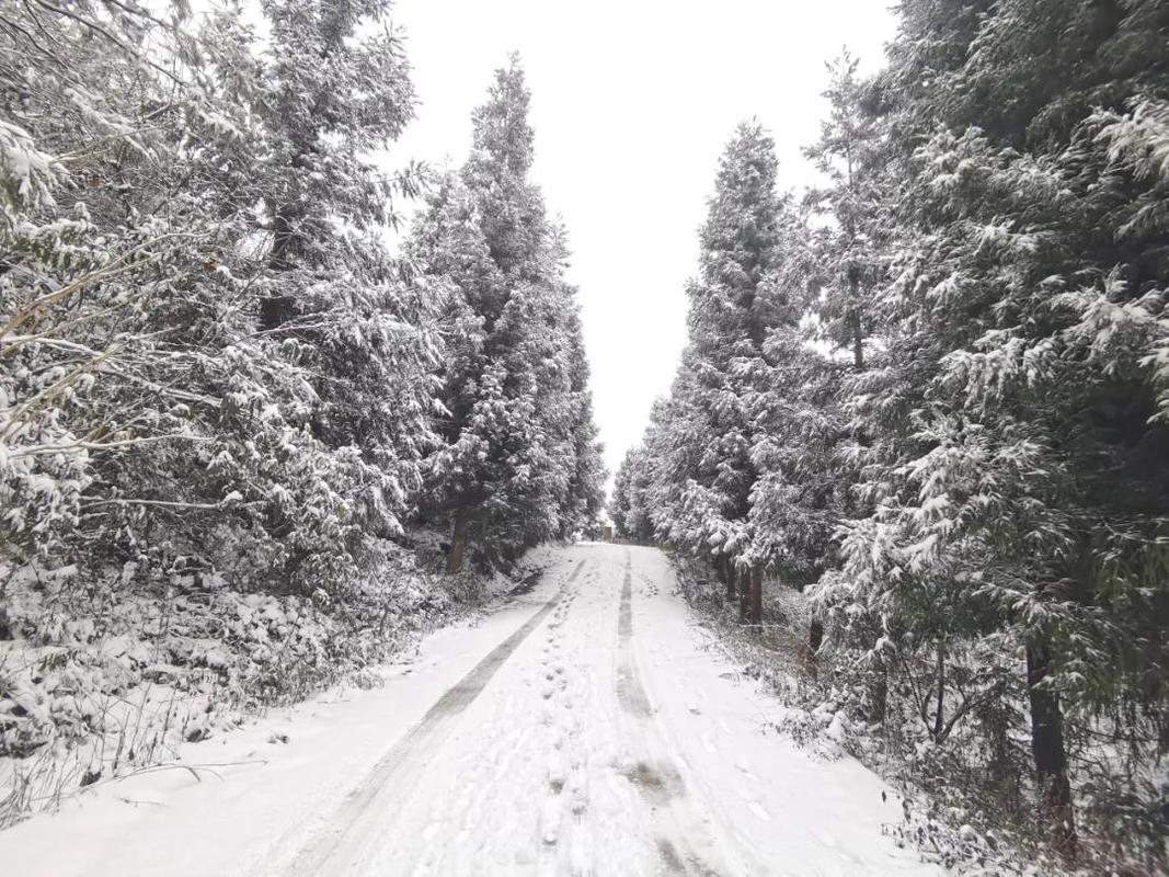 贵州遵义南岭下雪了吗？明天凤冈天气情况