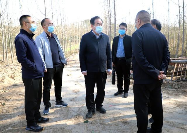 温县杨磊镇天气?河南温县天气情况-图2 温县杨磊镇天气?河南温县天气情况-图2