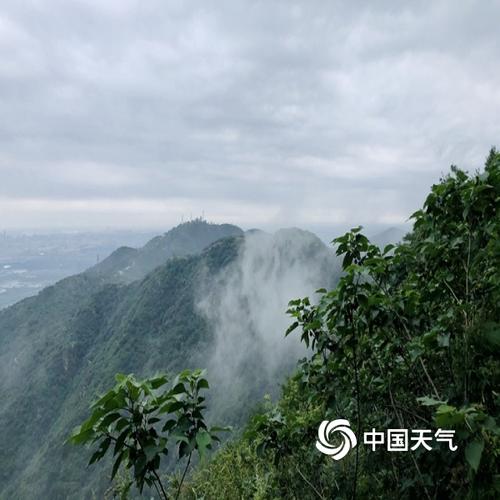北京香山的天气?北京香山天气情况-图1 北京香山的天气?北京香山天气情况-图1