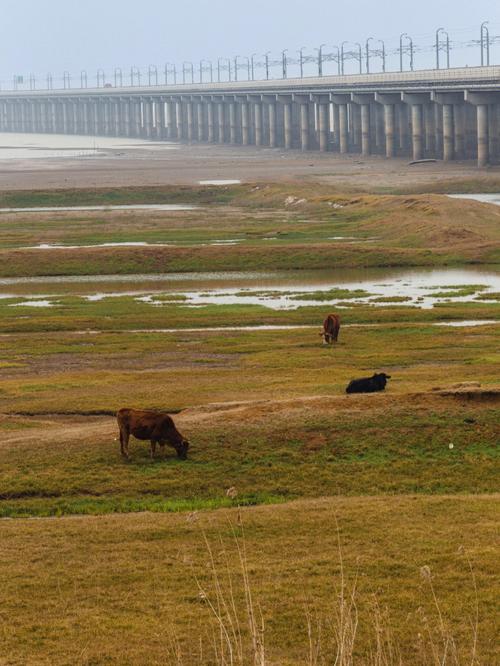 石臼湖冬天有水吗？安徽当涂天气情况