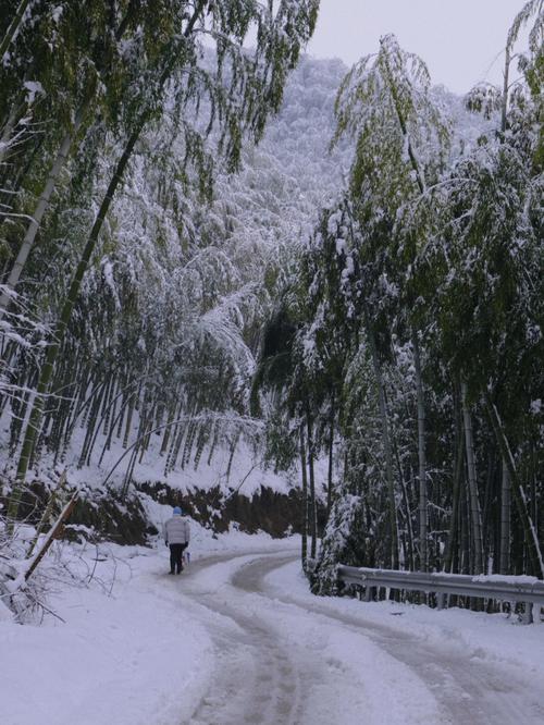 莫干山12月下雪吗？浙江莫干山天气情况