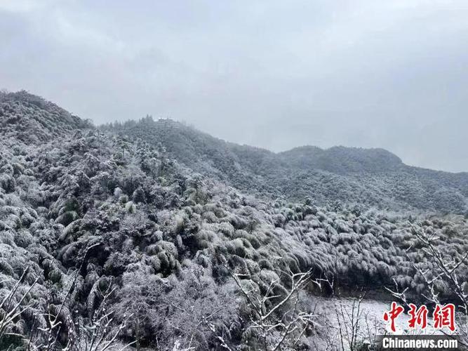 莫干山12月下雪吗?浙江莫干山天气情况-图3 莫干山12月下雪吗?浙江莫干山天气情况-图3