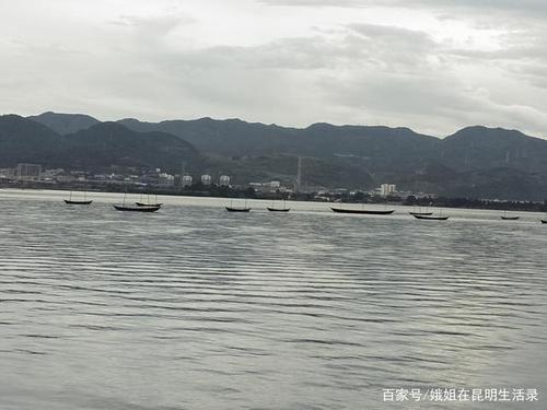滇池8月份有什么好玩的?滇池区天气情况-图2 滇池8月份有什么好玩的?滇池区天气情况-图2