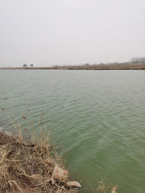 安平饶阳滹沱河有水吗?饶阳的天气情况-图3 安平饶阳滹沱河有水吗?饶阳的天气情况-图3