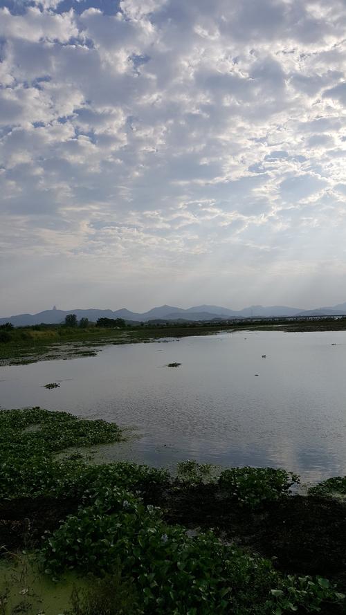 湖北省荆州市监利县有什么好玩的吗?鄂州华容天气情况-图3 湖北省荆州市监利县有什么好玩的吗?鄂州华容天气情况-图3