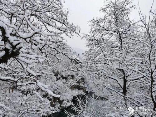 房山有下雪的地方吗?房山今日天气情况-图3 房山有下雪的地方吗?房山今日天气情况-图3