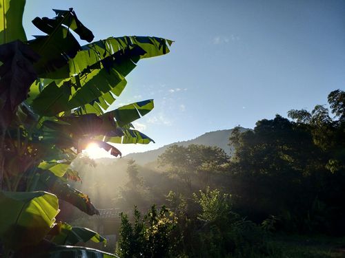 抚州东乡哪里有好玩的?抚州东乡天气情况-图2 抚州东乡哪里有好玩的?抚州东乡天气情况-图2