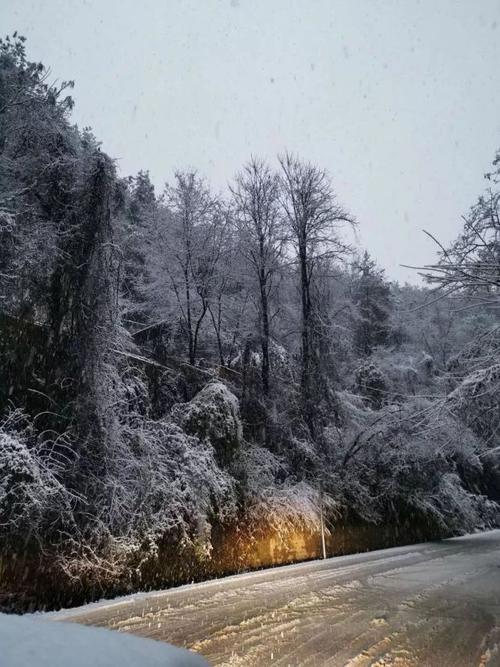 贵州惠水会不会下雪?惠水的天气情况-图3 贵州惠水会不会下雪?惠水的天气情况-图3
