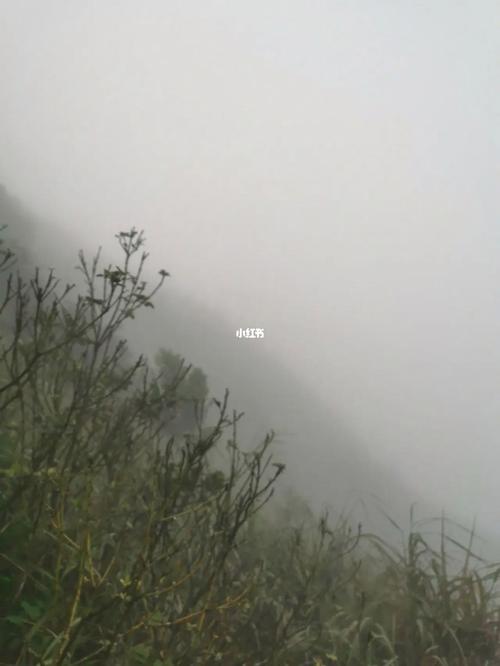 今天的天气可以爬梧桐山吗?昨晚下雨了,急啊?天津盘山天气情况-图2 今天的天气可以爬梧桐山吗?昨晚下雨了,急啊?天津盘山天气情况-图2