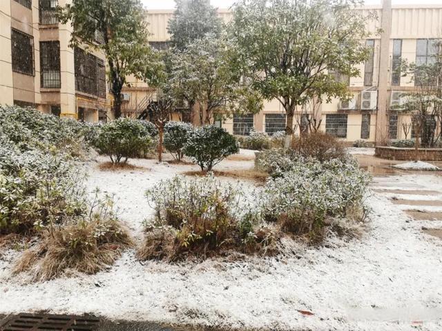 岳阳天气有大雪下吗?岳阳冬季天气情况-图3 岳阳天气有大雪下吗?岳阳冬季天气情况-图3