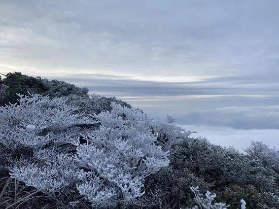 丰都九重天下雪了吗？丰都鬼城天气情况
