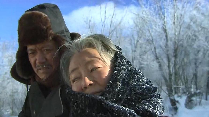 我看过电视剧闯关东，但仍不明白为何要闯关东？苇河天气情况