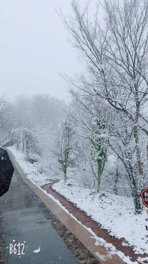 江西广丰1月份会下雪吗?广丰下午天气情况-图2 江西广丰1月份会下雪吗?广丰下午天气情况-图2