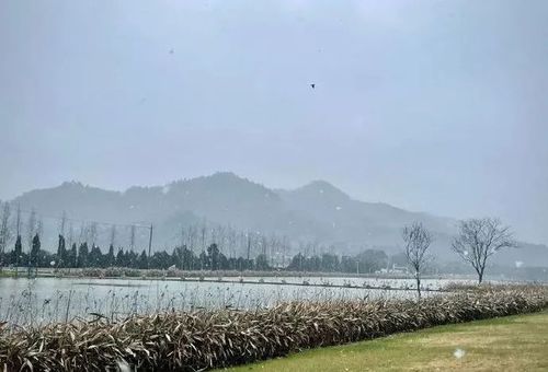 江西广丰1月份会下雪吗?广丰下午天气情况-图3 江西广丰1月份会下雪吗?广丰下午天气情况-图3