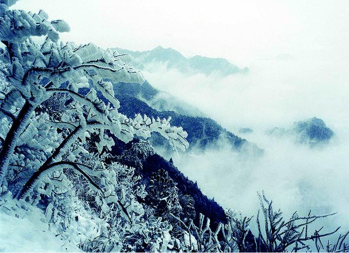 井冈山冬天最冷多少度?江西井岗山天气情况-图3 井冈山冬天最冷多少度?江西井岗山天气情况-图3