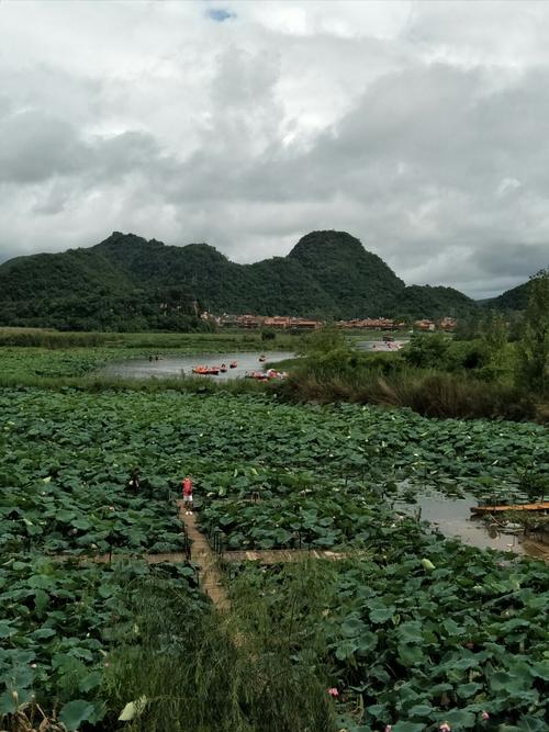 云南那边的天气一年四季是怎么样的?普者黑现在天气情况-图3 云南那边的天气一年四季是怎么样的?普者黑现在天气情况-图3