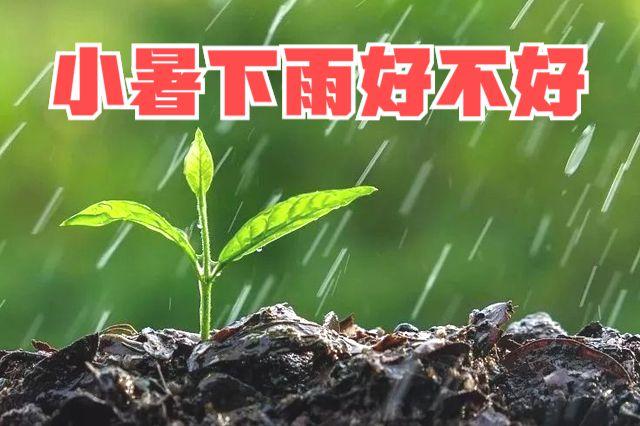 小暑下雨今年热吗？小暑天气情况