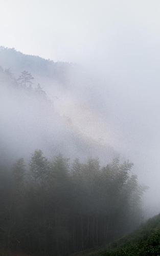 大山烟雨朦胧的句子?建阳小湖天气情况-图1 大山烟雨朦胧的句子?建阳小湖天气情况-图1