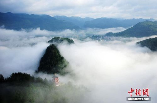 八面山顶气温?酉阳近期天气情况-图2 八面山顶气温?酉阳近期天气情况-图2