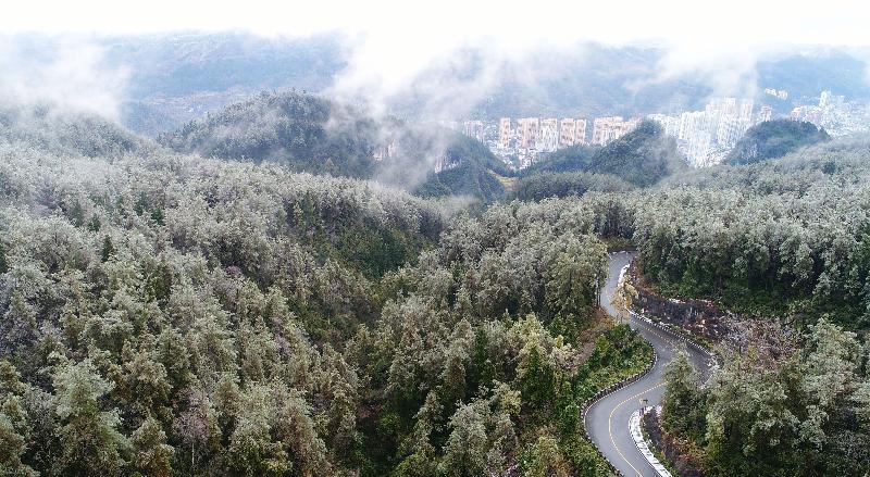八面山顶气温?酉阳近期天气情况-图3 八面山顶气温?酉阳近期天气情况-图3