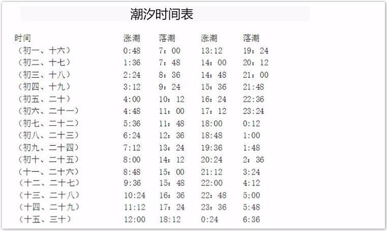 惠州退潮赶海8月的最佳时间?恵东天气情况-图2 惠州退潮赶海8月的最佳时间?恵东天气情况-图2