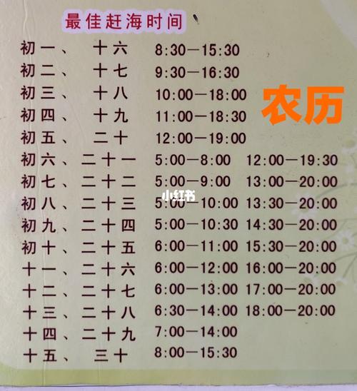 惠州退潮赶海8月的最佳时间?恵东天气情况-图3 惠州退潮赶海8月的最佳时间?恵东天气情况-图3