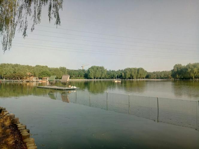 夏天去东北避暑合适吗?大洼区天气情况-图2 夏天去东北避暑合适吗?大洼区天气情况-图2