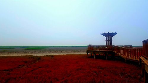 夏天去东北避暑合适吗?大洼区天气情况-图3 夏天去东北避暑合适吗?大洼区天气情况-图3