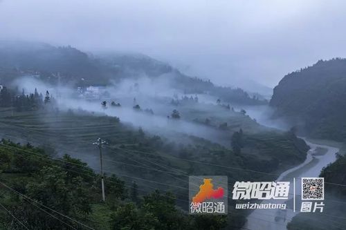 镇雄的气候适合种植些什么？云南镇雄天气情况