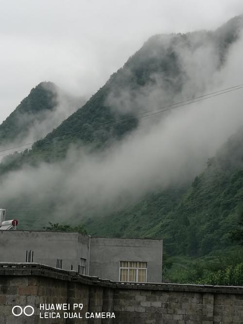 镇雄的气候适合种植些什么?云南镇雄天气情况-图2 镇雄的气候适合种植些什么?云南镇雄天气情况-图2