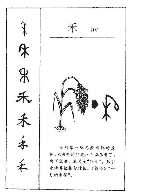 禾字旁的字?今秩天气情况-图1 禾字旁的字?今秩天气情况-图1