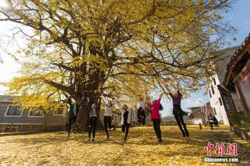 盘州市古银杏树景区气温?盘县明天 天气情况-图2 盘州市古银杏树景区气温?盘县明天 天气情况-图2