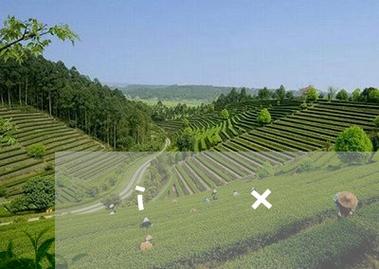 普洱适合过冬吗?普洱冬季天气情况-图2 普洱适合过冬吗?普洱冬季天气情况-图2